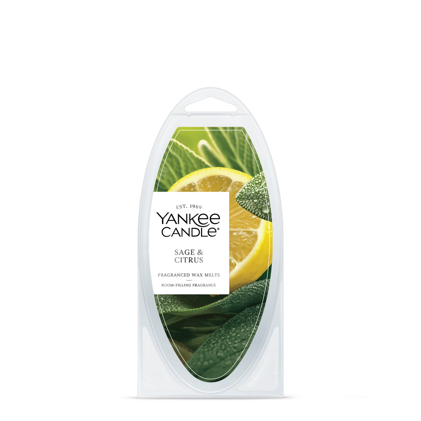 Sage & Citrus Studio 2-0854