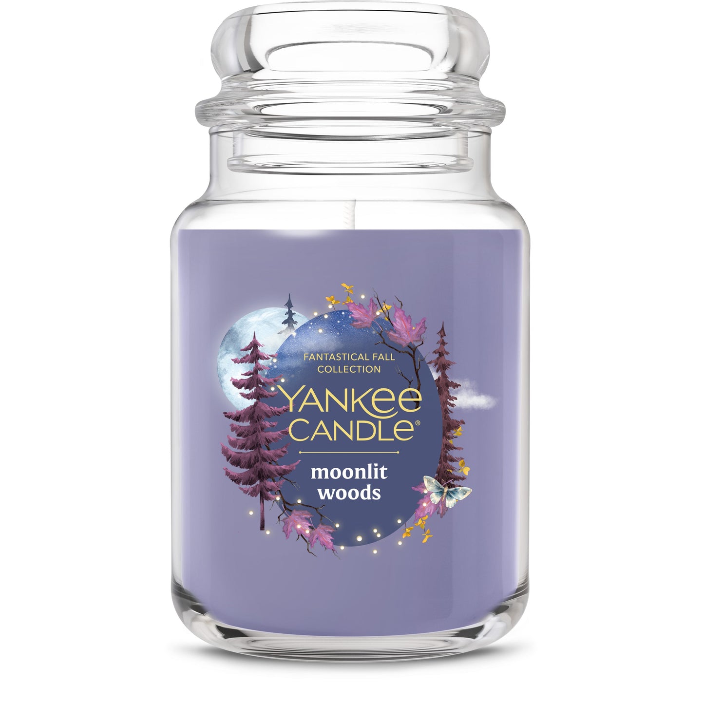 Moonlit Woods Core 2-0345